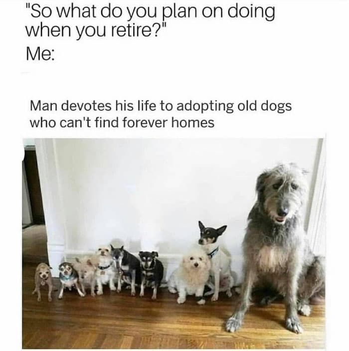 30 Memes That Dog Owners May Find Humorously Relatable