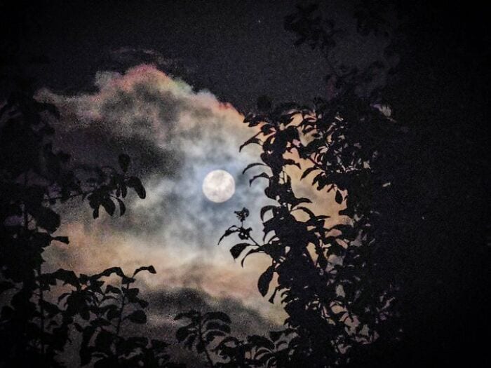 Blue Super Moon Photos From World 64F1Ac7159566 700