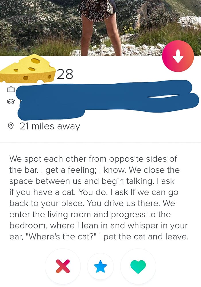 Hilarious Tinder Profiles 11 64C8B54D72C49 Png 700
