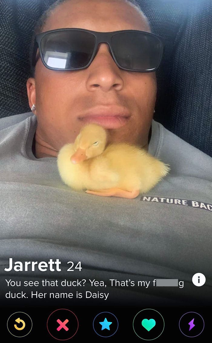 Hilarious Tinder Profiles 23 64E6055D156Ba 700
