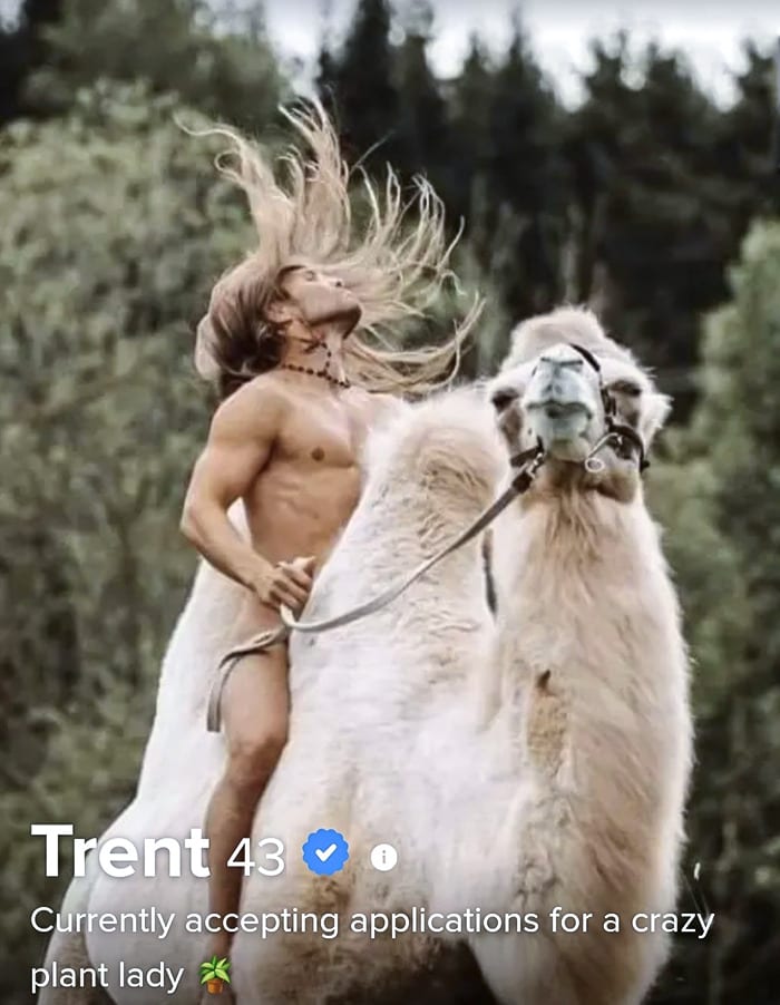 Hilarious Tinder Profiles 5 64C8Af0Ccd899 Png 700