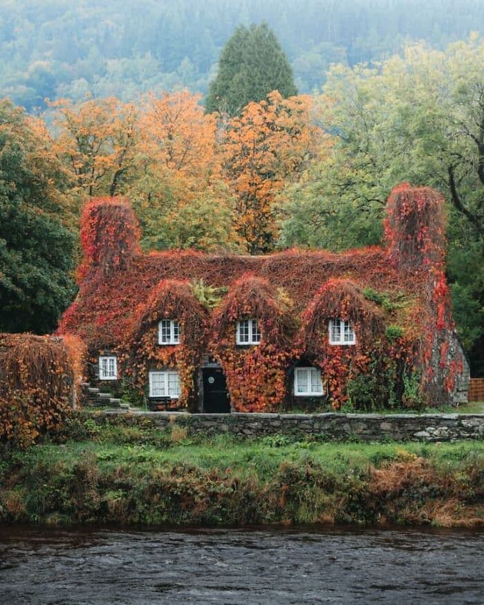 Interesting Old Abandoned Houses Pictures 64F82761479A1 700