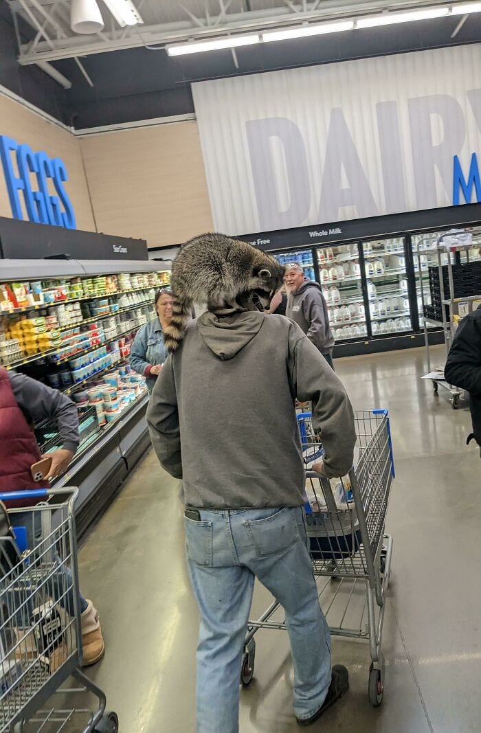 30 Unforgettable Walmart Moments Of Chaos