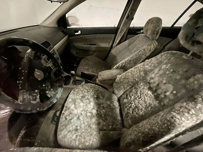 30 Intriguing Images That Defy Easy Description: A Moldy Fascination