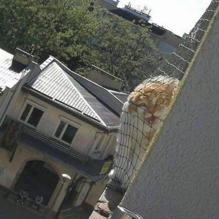 30 Unusual And Bizarre Images