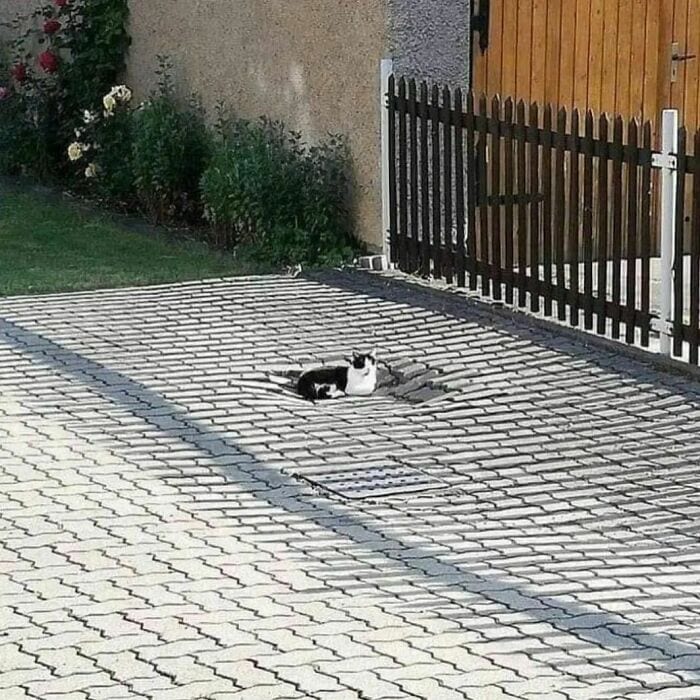 30 Hilariously Odd Images Emitting A Distinct Cursed Vibe