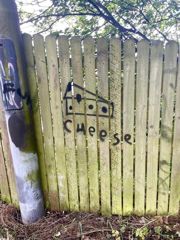 Funny Weird Graffiti 64Ccfe1Dd403A 700