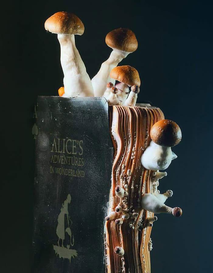 Museum Of Curiosities Pics 3 651E58D160666 700
