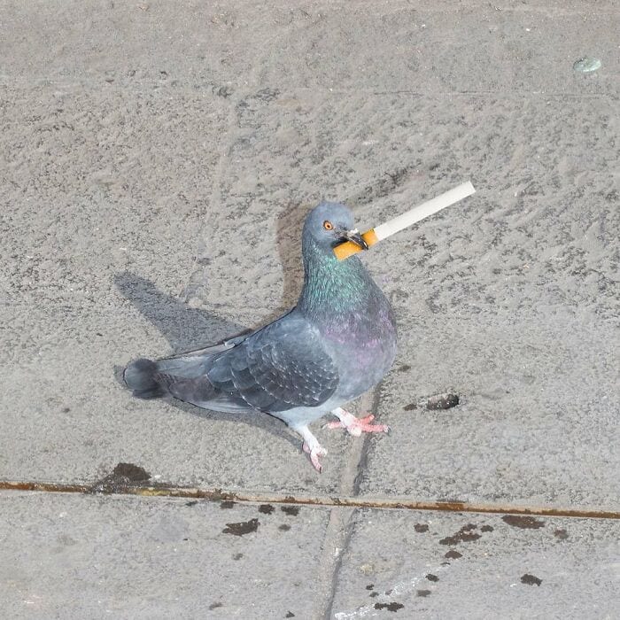 30 Intriguing Images That Will Fascinate You