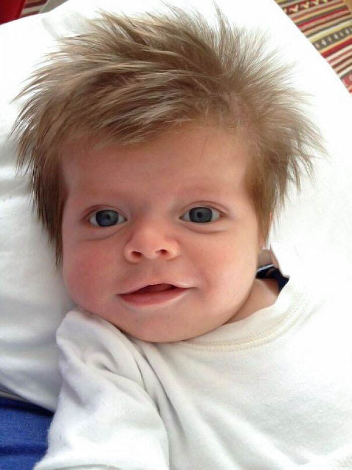 Hairy Funny Babies 16 6539235581B72 700