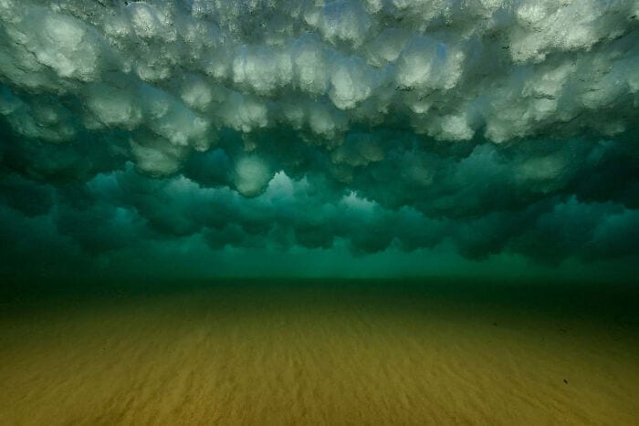 The Winners Of The European Wildlife Photographer Of The Year 2023 Have Been Announced 6544E836C3Fa0 700