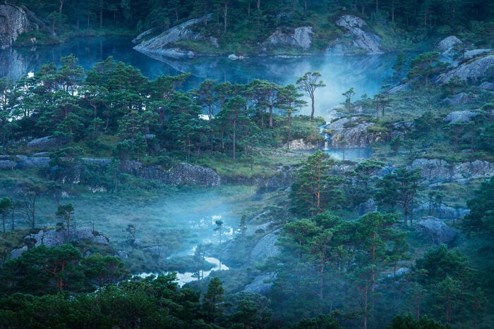 The Winners Of The European Wildlife Photographer Of The Year 2023 Have Been Announced 6544E83Ddf83F 700