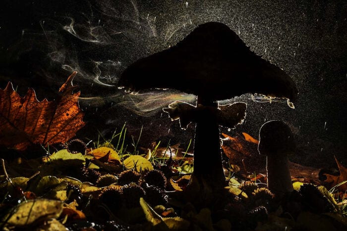 The Winners Of The European Wildlife Photographer Of The Year 2023 Have Been Announced 6544E841Dc355 700