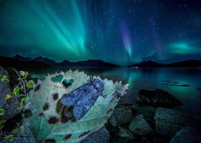 The Winners Of The European Wildlife Photographer Of The Year 2023 Have Been Announced 6544E87B423Ce 700
