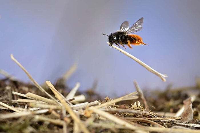 The Winners Of The European Wildlife Photographer Of The Year 2023 Have Been Announced 6544E87Ec307E 700