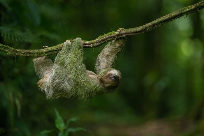 The Winners Of The European Wildlife Photographer Of The Year 2023 Have Been Announced 6544E881Cc6F8 700