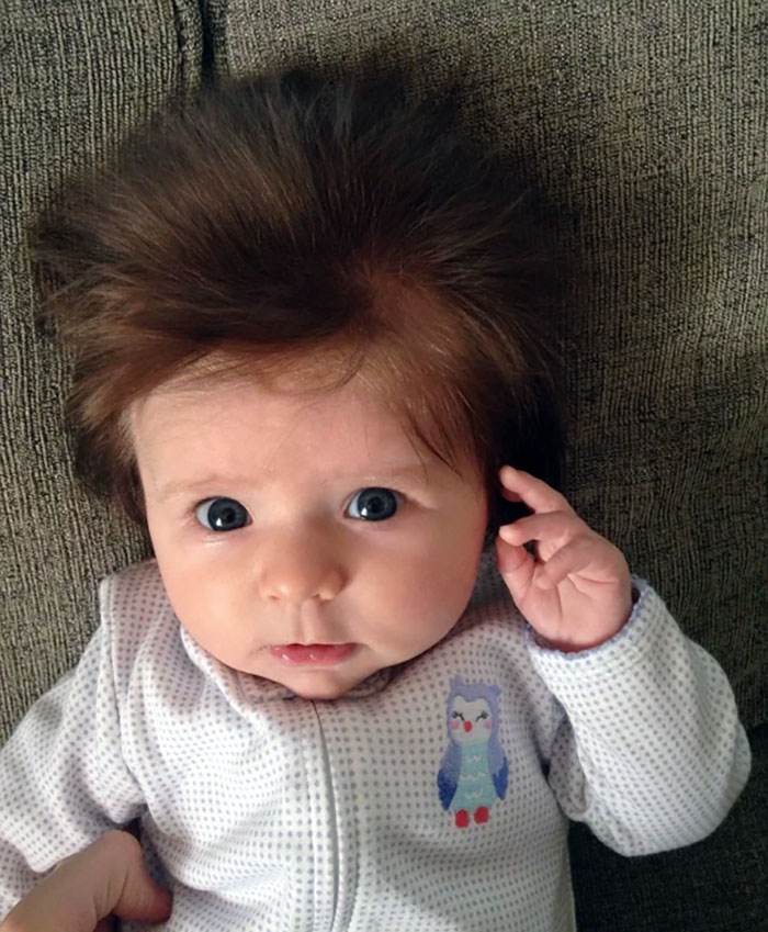Hairy Funny Babies 1 653A042Eec843 700