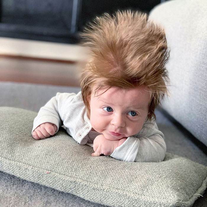Hairy Funny Babies 4 653A08Ecabb69 700