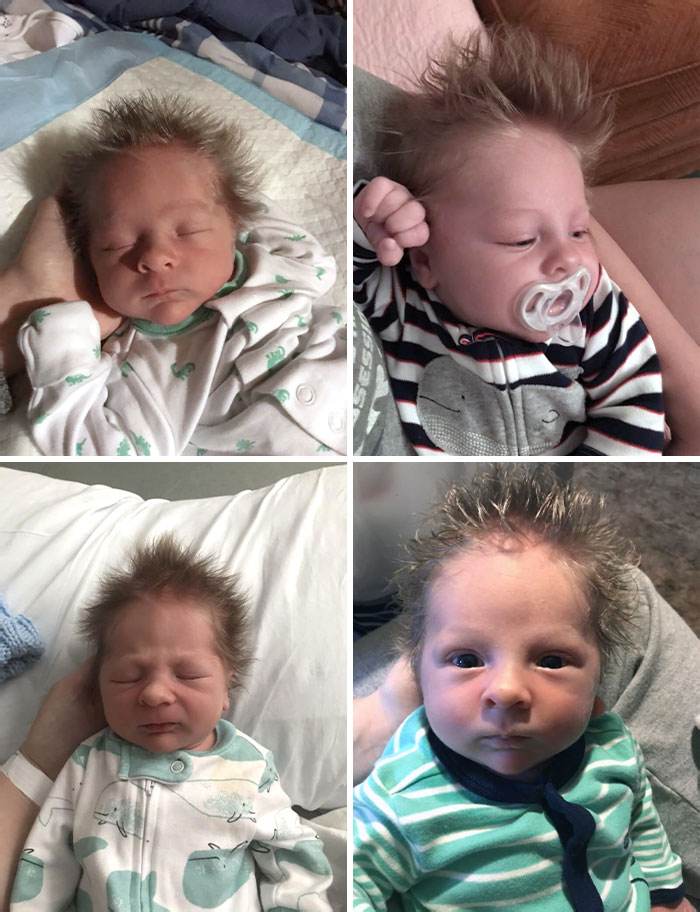 Hairy Funny Babies 8 652F987F36935 700