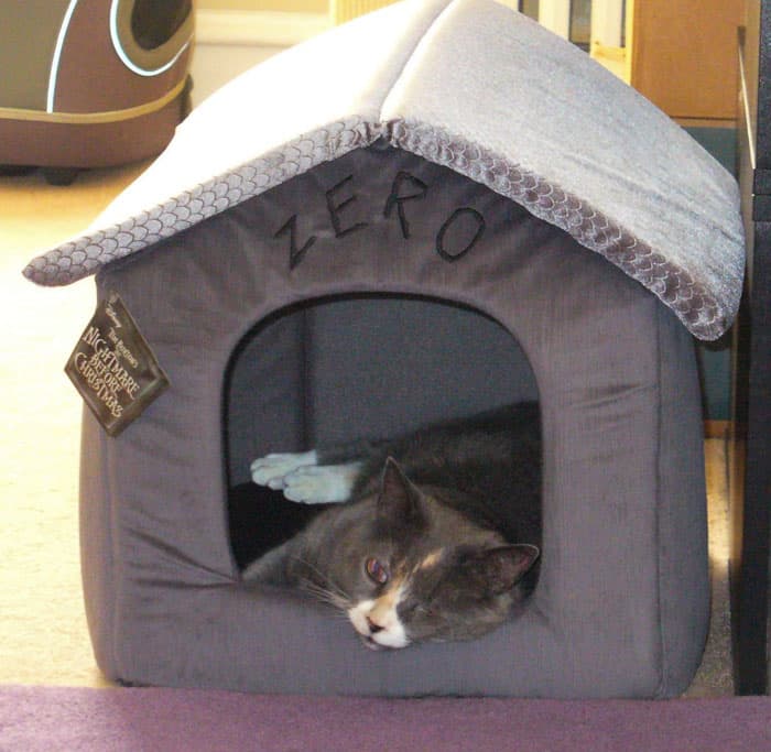 Holiday Products For Pets And Their Owners Amazon 14 6538Fa7Cef173 700