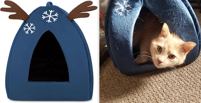 Holiday Products For Pets And Their Owners Amazon 17 653907Cd58C96 700