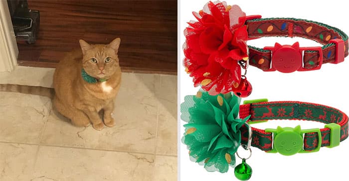 Holiday Products For Pets And Their Owners Amazon 19 65391332F41Bf 700
