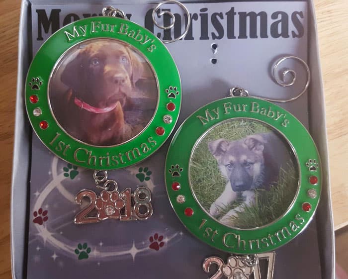 Holiday Products For Pets And Their Owners Amazon 23 653922A9A987C 700