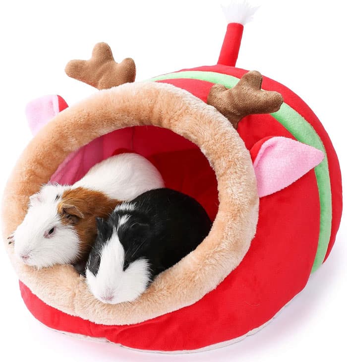Holiday Products For Pets And Their Owners Amazon 26 6539249D029Db 700
