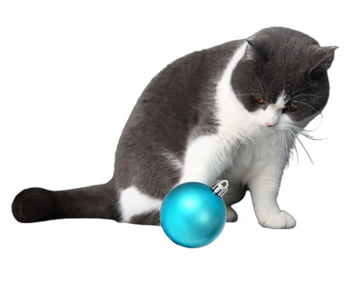 30 Irresistibly Cute Pet Products For The Holiday Season