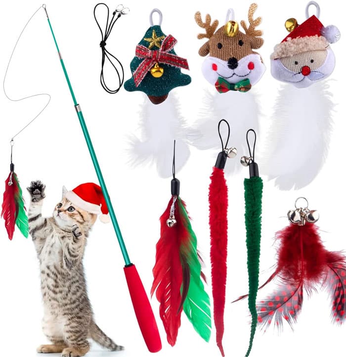 Holiday Products For Pets And Their Owners Amazon 8 6538D0454Aadc 700
