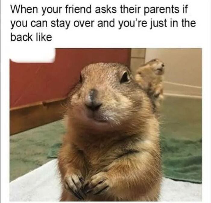 Laughing At My Own Memes 654De30F62Ac9 700