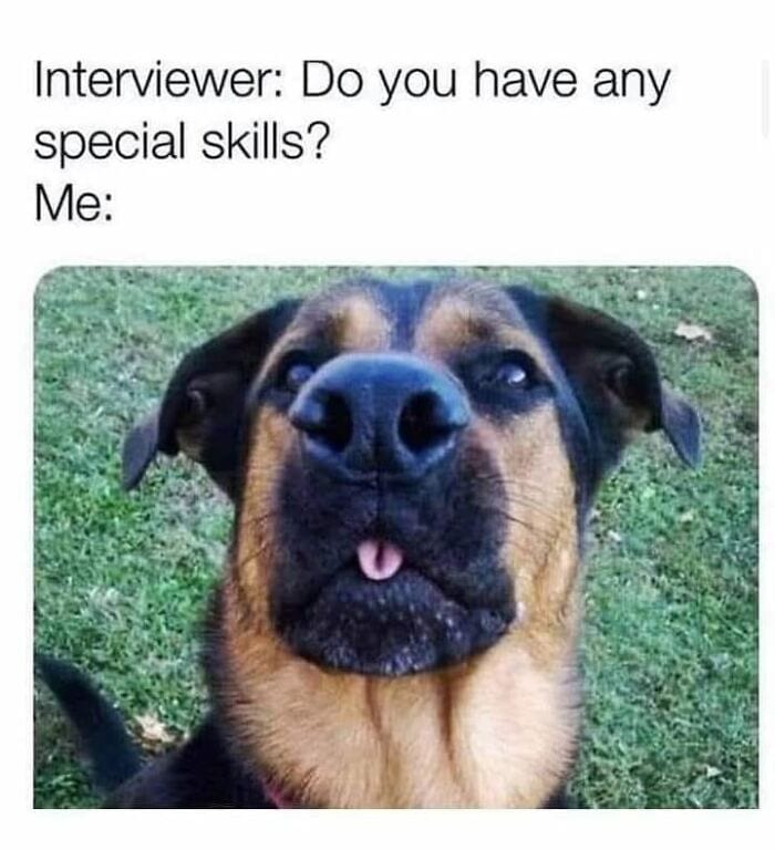 Laughing At My Own Memes 654De9Cc00225 700