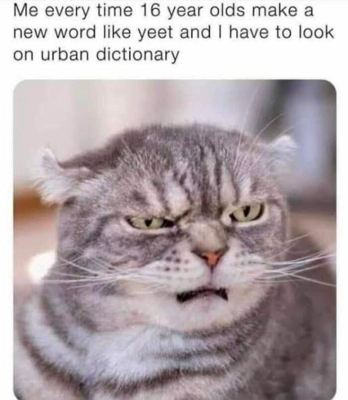 Laughing At My Own Memes 654De9Cf0470D 700