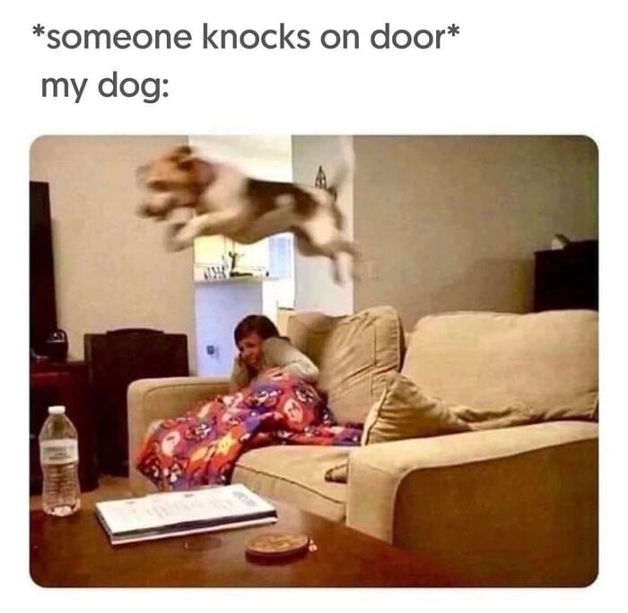 Laughing At My Own Memes 654Dee9Da6Aac 700