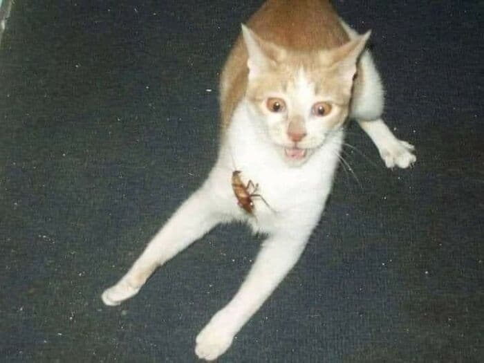 30 Pics Of People Having A Really Bad Day