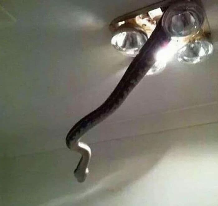 Unfortunate Events Pics 654C934A56035 700