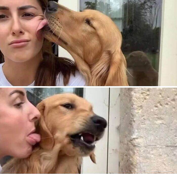 656F169797304 Hilarious Whats Wrong With Your Dog Pics