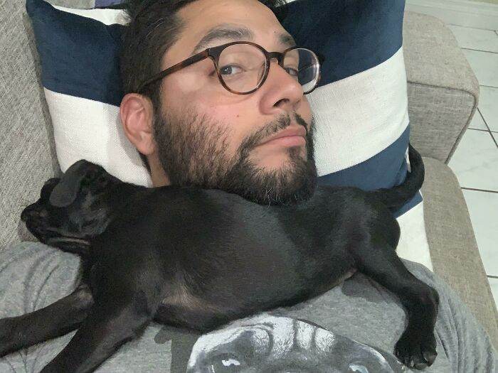 30 Incredibly Cute Pictures Of Pets Enjoying A Nap