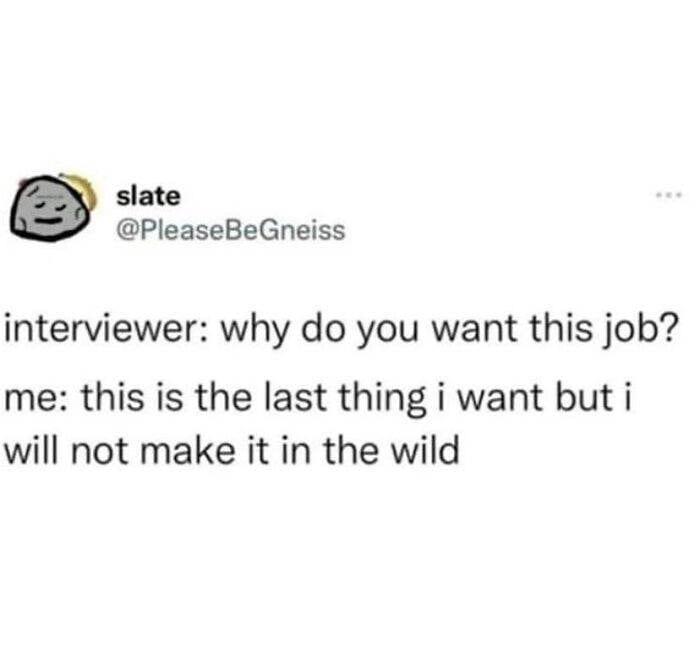 30 Hilariously Amusing Tweets