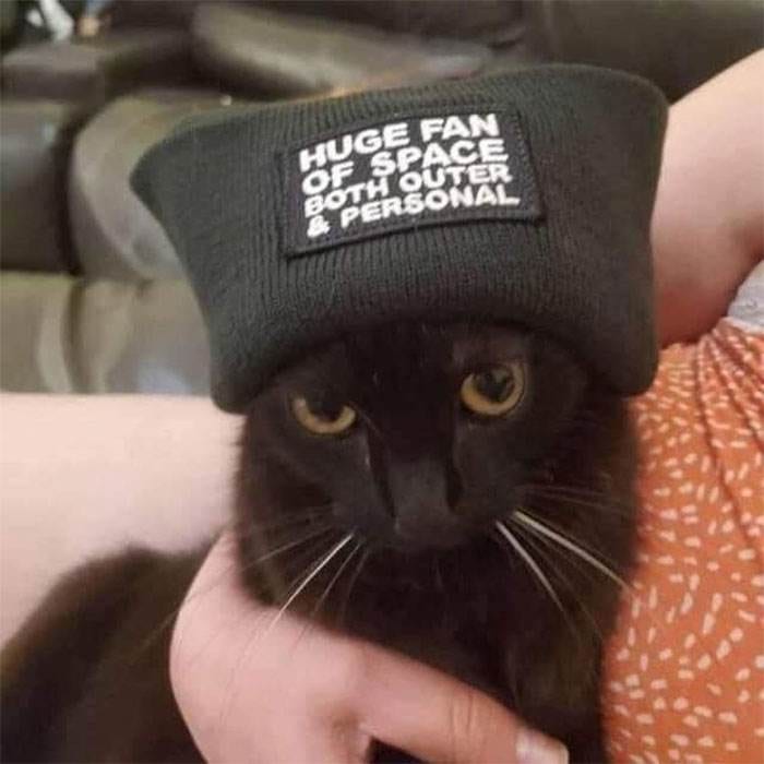 30 Caps That Will Have You Laughing And Puzzled!