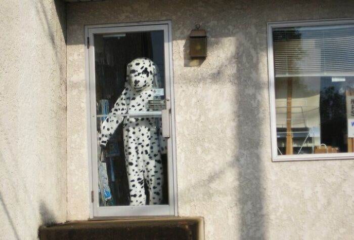 30 Unbelievable Pics From The Dark Side Of The Internet