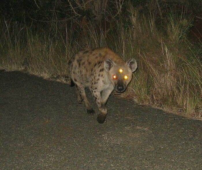30 Unbelievable Pics From The Dark Side Of The Internet