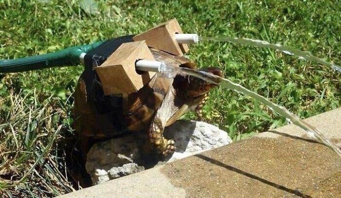 Strange Weird Cursed Images 63 656Edc3Dd4Afa 700