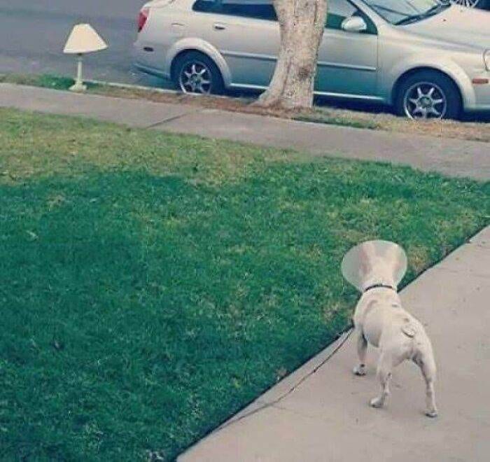 30 Unbelievable Pics From The Dark Side Of The Internet