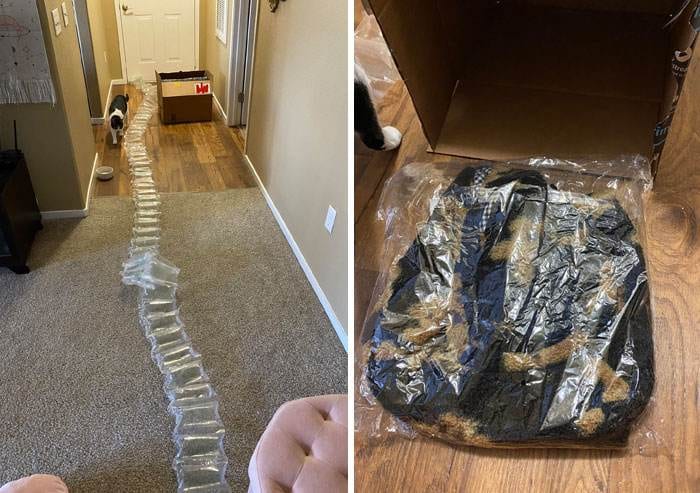 Unnecessary Packaging Fails 33 65674E403Ca5B 700