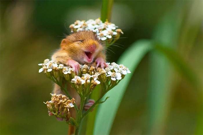 30 Amazing Moments Captured In Photography