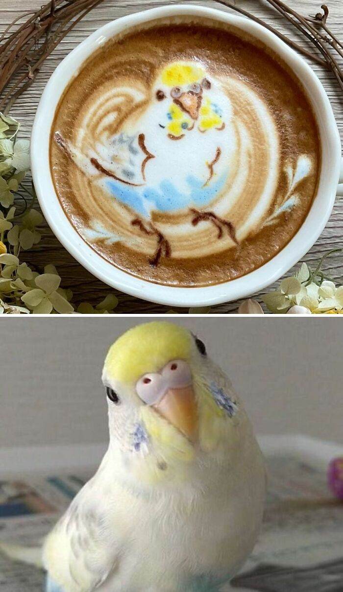 658Dac5C1B545 Cool Latte Art