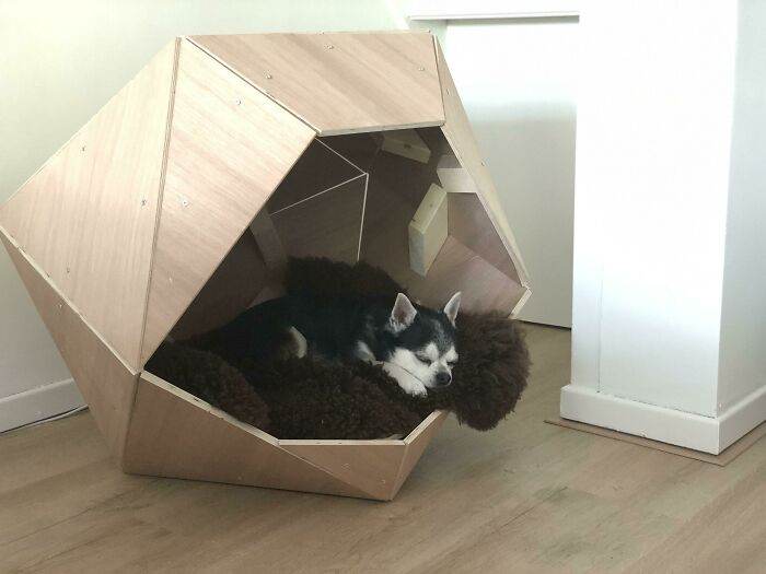 30 Times Dogs Got Only The Best Dog Houses