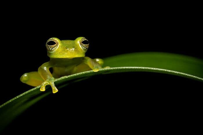 The Best Wildlife Photographers In The World In 2023 According To One Eyeland Awards 6582C1B57E20C 700