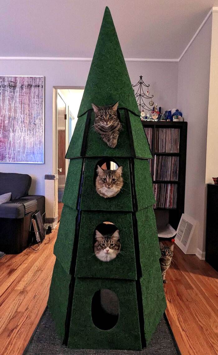 Funny Christmas Animals 16 6581C4848857F 700